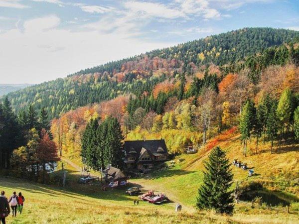 Bukowa Chata Jugów Exteriör bild